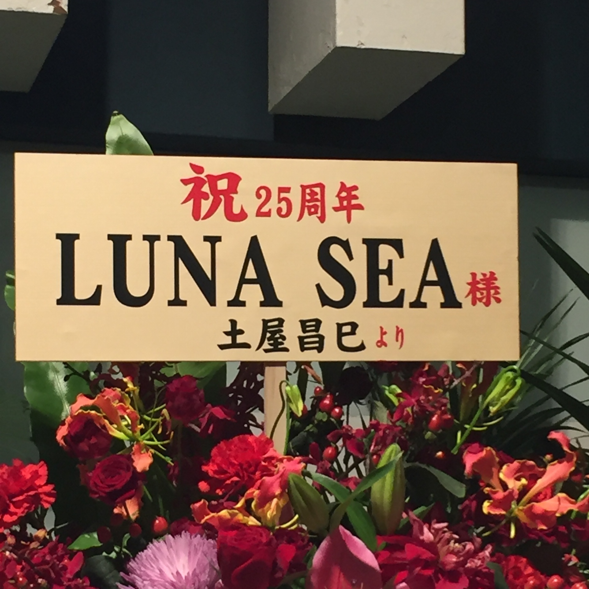 Luna Sea The Anniversary 17 日本武道館 書きかけ ケア パラベルの食卓と図書室 そして音楽堂